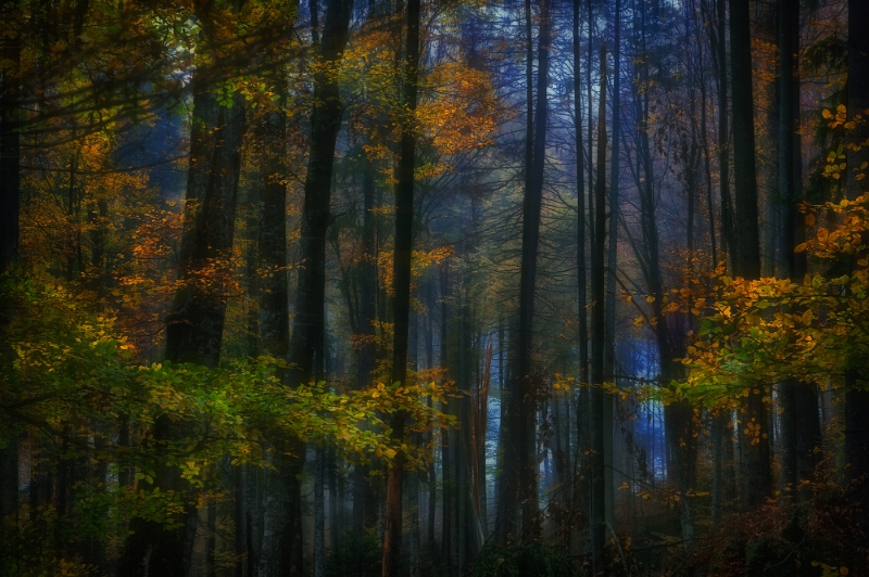 Mihail Ion Dulu - Octombrie.jpg - SONY DSC